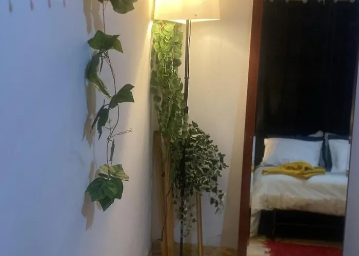 Stadium Séjour chez l'habitant