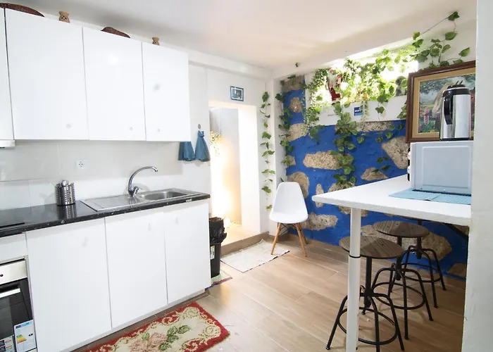 Проживание в семье Stadium *